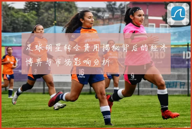 足球明星转会费用揭秘背后的经济博弈与市场影响分析