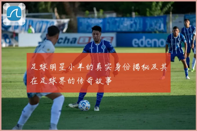 足球明星小羊的真实身份揭秘及其在足球界的传奇故事