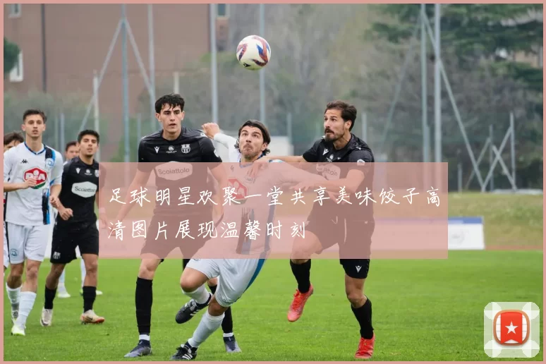 足球明星欢聚一堂共享美味饺子高清图片展现温馨时刻